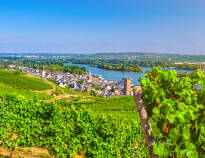 Utforska och upplev de vackra vingårdarna, endast en kort promenad från floden Rhen.