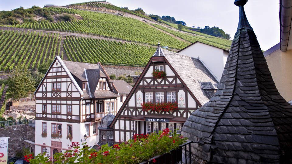 Enjoy a relaxing holiday with stunning scenery and fine wine in the historic setting of the UNESCO-listed Rhine Valley.