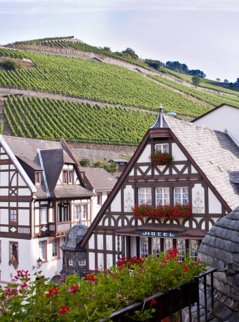 Nyt en avslappende ferie med fantastisk natur og fantastisk vin i historiske omgivelser i den UNESCO-listede Rhindal.