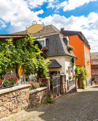 Missa heller inte att besöka den charmiga vinstaden Rüdesheim am Rhein med sin populära gågata Drosselgasse.