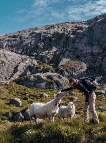 Sirdal Høyfjellshotell är den perfekta utgångspunkten för vandringar i fjällen och äventyr i naturen.