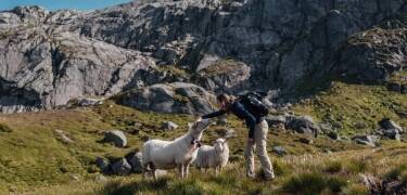 Das Sirdal Høyfjellshotell ist der perfekte Ausgangspunkt für Wanderungen und Naturabenteuer.