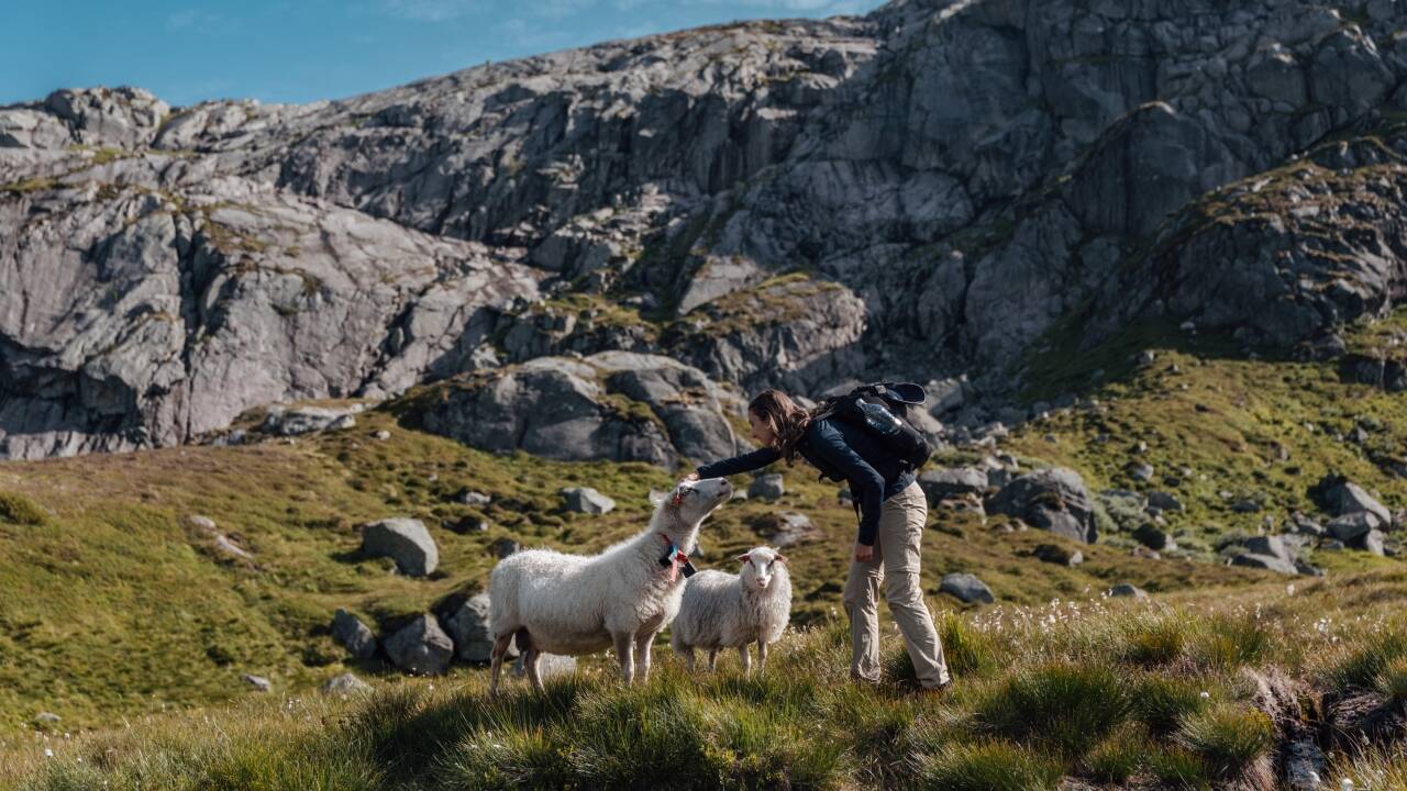 Das Sirdal Høyfjellshotell ist der perfekte Ausgangspunkt für Wanderungen und Naturabenteuer.