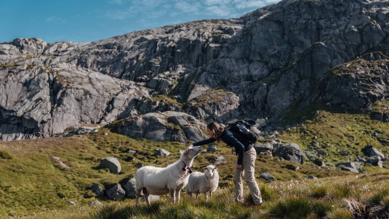 Sirdal Høyfjellshotell er det perfekte utgangspunktet for fjellturer og opplevelser i naturen.