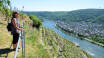 När ni bor på hotellet har ni en fantastisk utgångspunkt för att utforska vinlandskapet i västra Tyskland och den historiska staden Koblenz