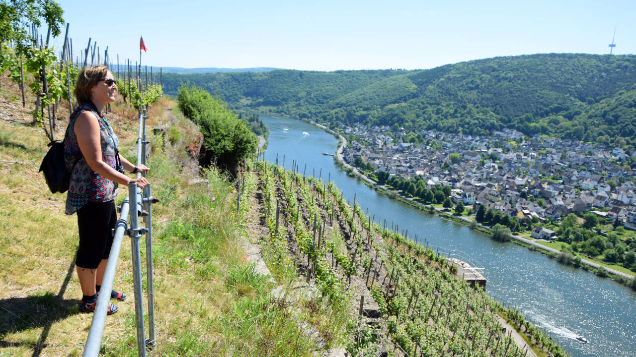 Vom Hotel aus haben Sie die Möglichkeit, die schönen Weinlandschaften und die historische Stadt Koblenz zu erkunden.
