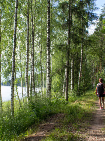 Discover scenic hiking trails and lush forests around the town.