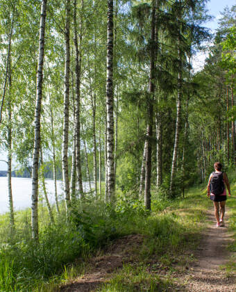 Entdecken Sie malerische Wanderwege und üppige Wälder rund um die Stadt.