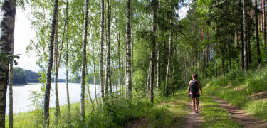 Entdecken Sie malerische Wanderwege und üppige Wälder rund um die Stadt.
