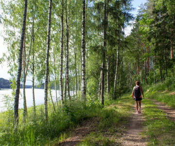 Upptäck natursköna vandringsleder och lummiga skogar.