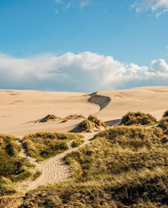Außerhalb von Skagen selbst finden Sie mehrere aufregende Ausflugsziele, wie z. B. die Düne Råbjerg Mile.