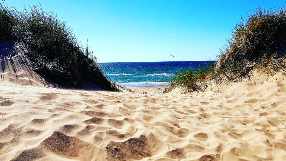 Här bor ni nära Kattegatthavet och vackra Tylösand, som bland annat är berömt för sin drygt 4 kilometer långa sandstrand.