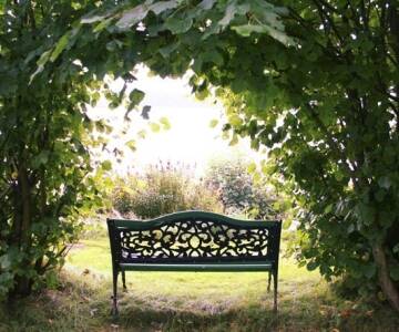 Spazieren Sie durch den wunderschönen Garten Möckelsnäs Trädgård und genießen Sie die Ruhe.