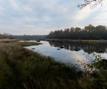 Wachen Sie am Möckelnsee auf und genießen Sie den herrlichen Ausblick aus Zimmern und Restaurant.
