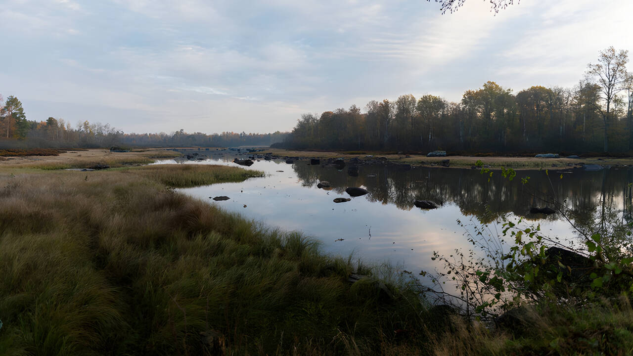 Wachen Sie am Möckelnsee auf und genießen Sie den herrlichen Ausblick aus Zimmern und Restaurant.
