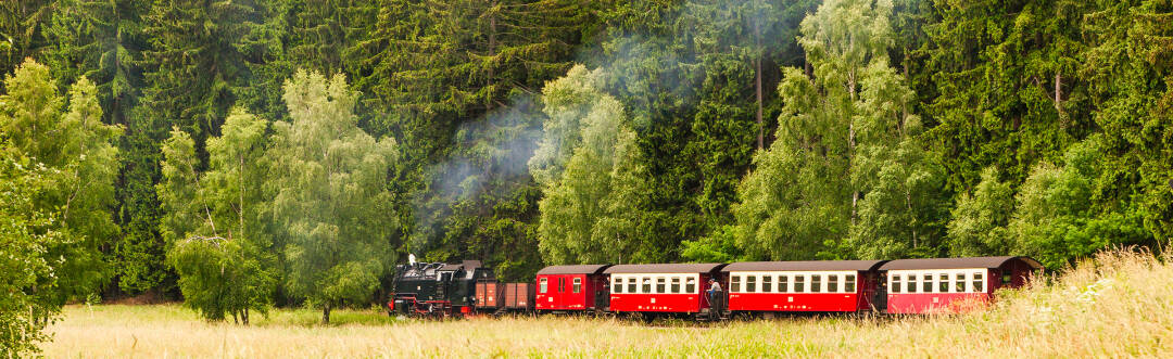 Zu den Highlights im Harz gehört eine Fahrt mit der Brockenbahn auf den berühmten Berg.