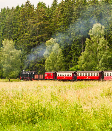 En av höjdpunkterna i Harzbergen är en tur med Brockenjärnvägen upp för det berömda berget.