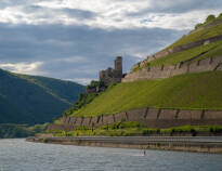 Tag på en bådtur på floden, og udforsk den UNESCO-listede region med slotte, vingårde og uforglemmelige oplevelser.