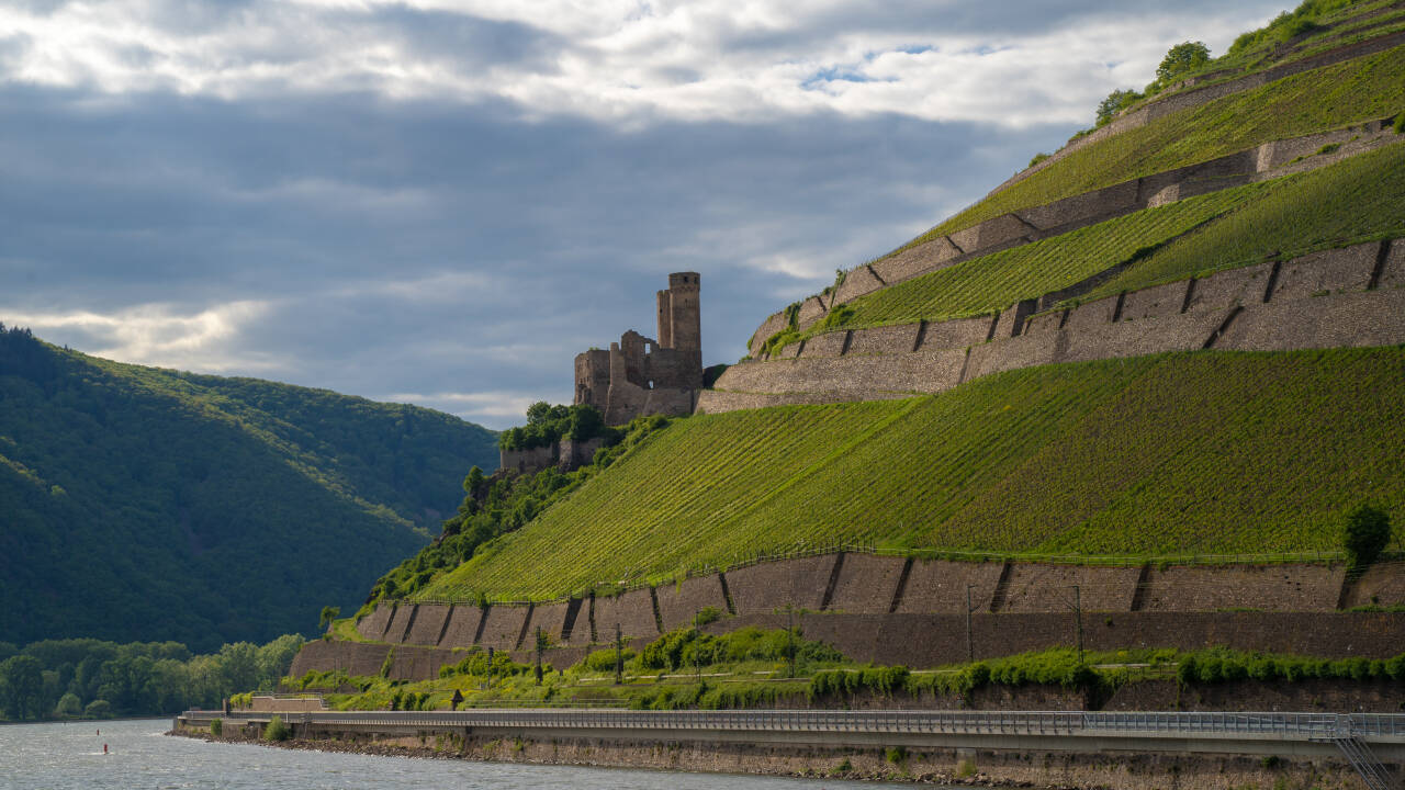 Machen Sie eine Bootsfahrt auf dem Fluss und erkunden Sie die UNESCO-geschützte Region mit Burgen, Weinbergen und unvergesslichen Erlebnissen.