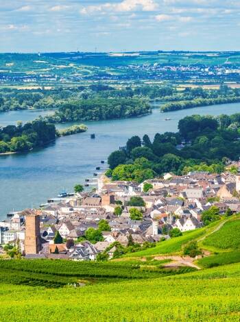 Rheinhotel Rüdesheim