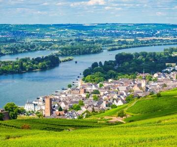 Rheinhotel Rüdesheim