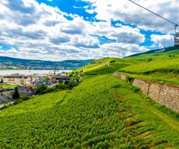 Du kan ta den berømte kabelbanen som svever over vinmarkene til Niederwald-monumentet.