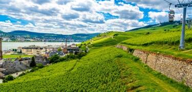Du kan ta den berømte kabelbanen som svever over vinmarkene til Niederwald-monumentet.