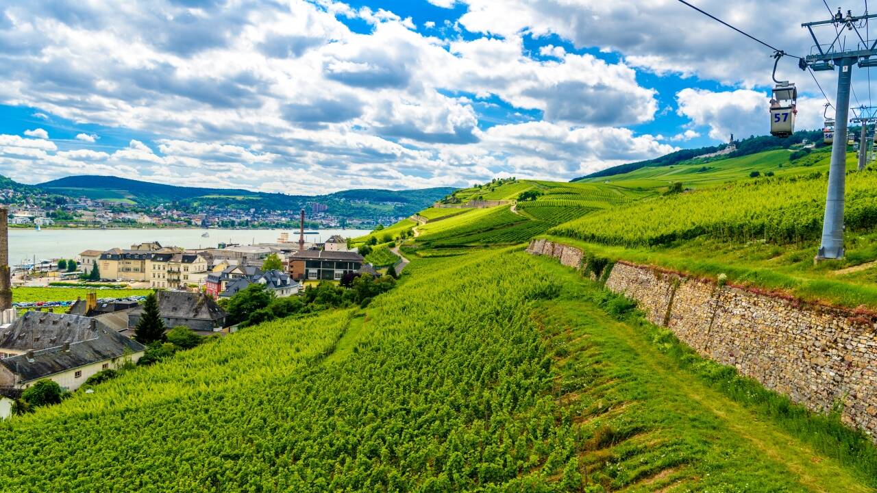 Steigen Sie in die berühmte Seilbahn, die sanft über die Weinberge bis zum Niederwalddenkmal gleitet.