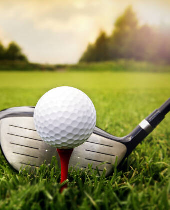 In geringer Entfernung zum Hotel gibt es u. a. Golf, Freibad, Museen und Geschäfte.