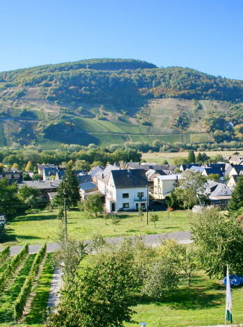 Hotel Moselblick