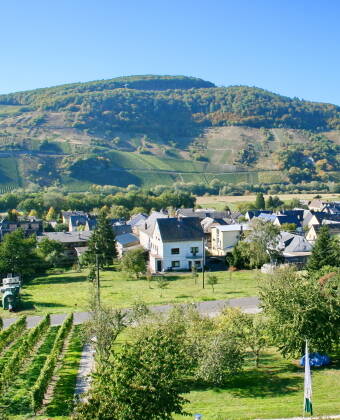 Hotel Moselblick