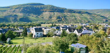 Hotel Moselblick