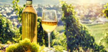 In Ihrem Paket ist eine Weinprobe in einem nahe gelegenen Weingut enthalten.