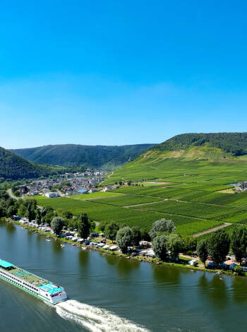 Explore the region with a wonderful boat trip on the Moselle - a unique experience!