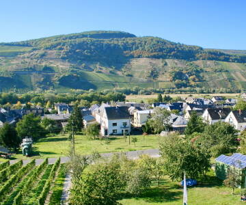 Hotel Moselblick