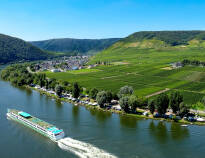 Explore the region with a wonderful boat trip on the Moselle - a unique experience!