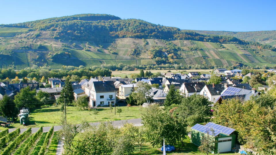Hotel Moselblick is set in picturesque and romantic surroundings on a hill, amidst the vineyards surrounding the Moselle River.