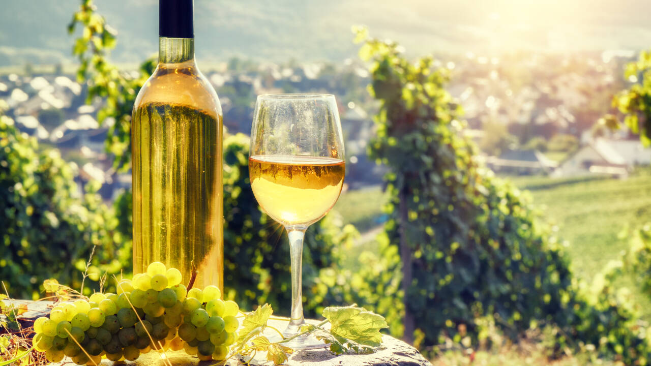 Opholdet inkluderer en dejlig vinsmagning på en lokal vingård, i kort afstand af hotellet.