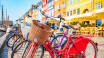 Köpenhamn har flera gånger utsetts till världens bästa cykelstad - och självklart kan du hyra cyklar på hotellet.