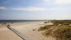 Amager Strandpark is right next to the hotel and buzzes with life in the summer.