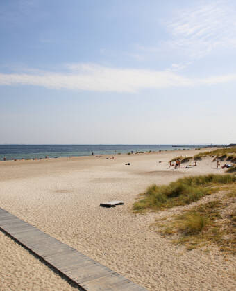 Lige i nærheden af hotellet finder I Amager Strandpark, som summer af liv om sommeren.