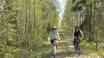 The nearby area offers several good cycling routes, perfect for those who want an active holiday on two wheels.