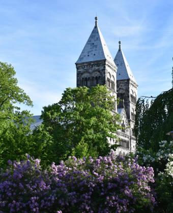 Vom Hotel aus kommen Sie gut zu Fuß zur Domkirche, zum botanischen Garten und zu den Einkaufsstraßen der Stadt.