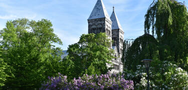 Vom Hotel aus kommen Sie gut zu Fuß zur Domkirche, zum botanischen Garten und zu den Einkaufsstraßen der Stadt.