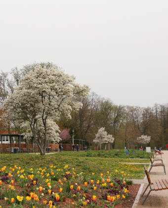Relax with a stroll in one of Bad Rappenau's beautiful park areas.