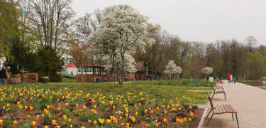 Slap af med en slentretur i en af Bad Rappenaus smukke parkområder.