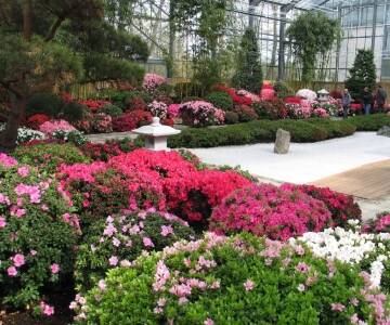 Oplev den fantastiske Rhododendronpark i Bremen.