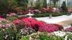 Besuchen Sie den großen Rhododendronpark in Bremen, im dem auf 46 Hektar viele wunderschöne Blumen und Pflanzen wachsen.