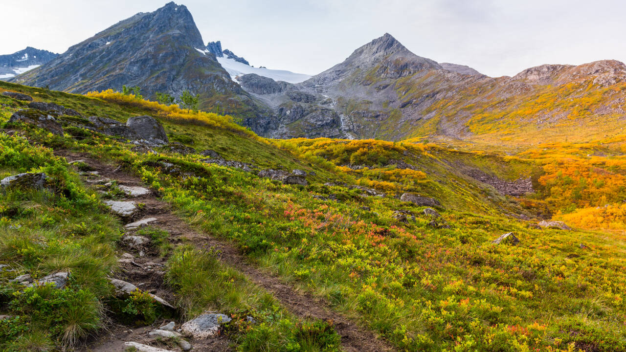 Havila Hotel Ivar Aasen ligger perfekt till för att upptäcka regionens alpina landskap.