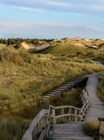 Fantastiskt läge för att utforska Nationalpark Wattenmeer och öarna Föhr, Amrum och Sylt